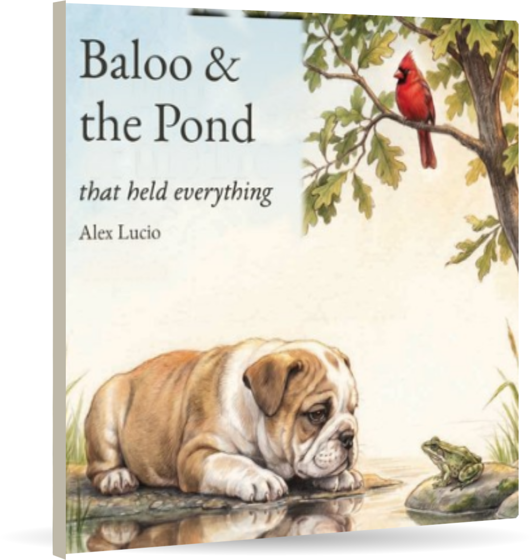 Baloo & the Pond That Held Everything